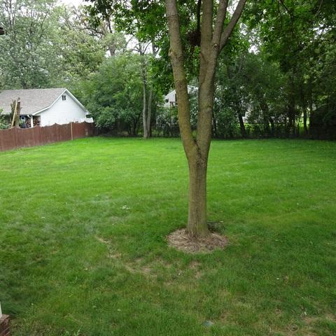 9533 Forest Pl, Des Plaines, IL 60016 photo 7