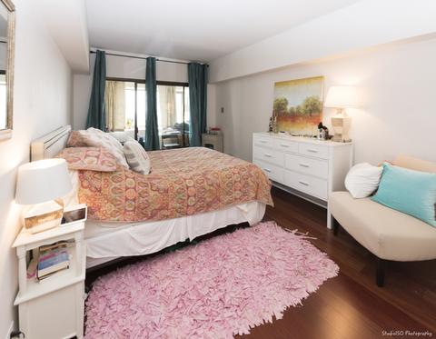 175 E Delaware Pl #5619, Chicago, IL 60611 photo 10