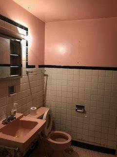 305 E 90th Pl, Chicago, IL 60619 photo 12