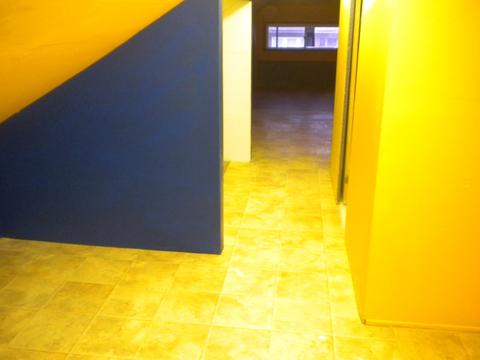 4335 S Spaulding Ave, Chicago, IL 60632 photo 6