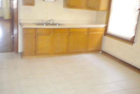 4335 S Spaulding Ave, Chicago, IL 60632 photo 22