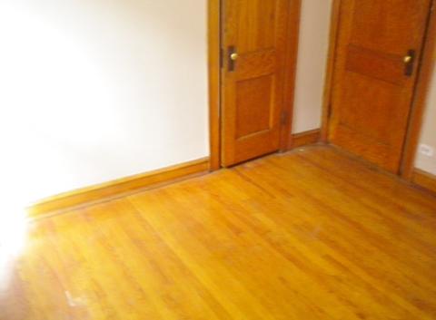 4335 S Spaulding Ave, Chicago, IL 60632 photo 21