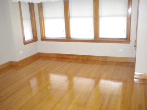 4335 S Spaulding Ave, Chicago, IL 60632 photo 15