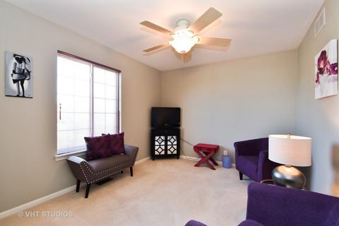 102 Treehouse Rd, Matteson, IL 60443 photo 12