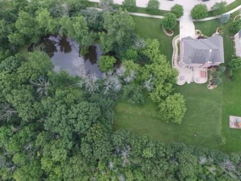 994 Reading St, Bartlett, IL 60103 photo 4