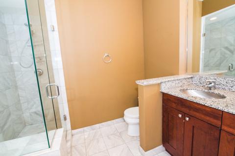 18 E Cullerton St #4, Chicago, IL 60616 photo 16