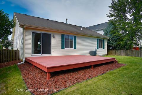 21741 W Halifax Dr, Plainfield, IL 60544 photo 19