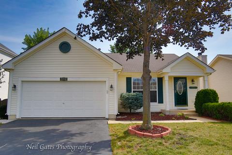 21741 W Halifax Dr, Plainfield, IL 60544 photo 1