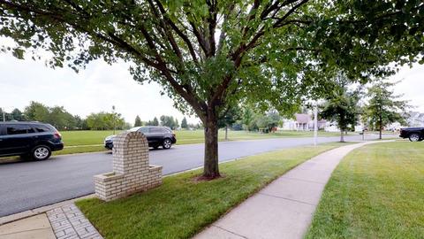 1806 Arbor Falls Dr, Plainfield, IL 60586 photo 4