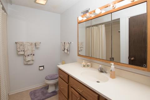 460 W Downer Pl #4E, Aurora, IL 60506 photo 18