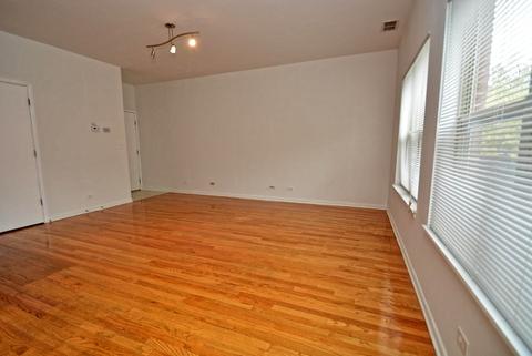 1136 E 46th St, Chicago, IL 60653 photo 10