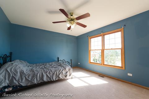 13709 Shriver Ct, Plainfield, IL 60544 photo 24