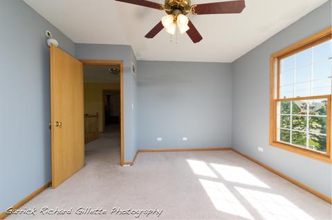 13709 Shriver Ct, Plainfield, IL 60544 photo 28