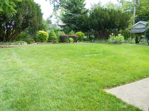 182 E Strong St, Wheeling, IL 60090 photo 20