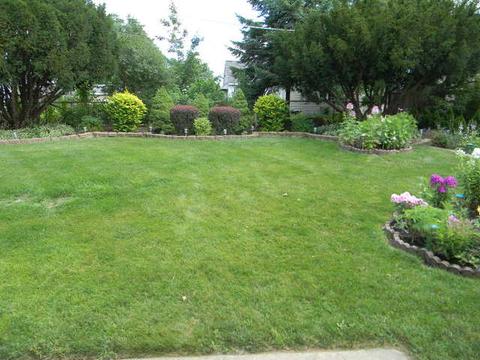182 E Strong St, Wheeling, IL 60090 photo 23
