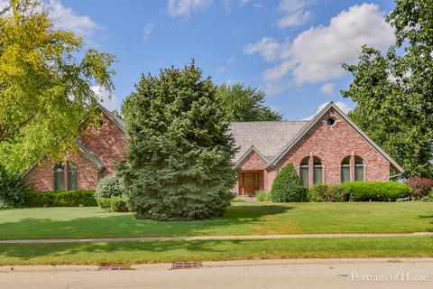 24512 Brittany St, Plainfield, IL 60586 photo 1