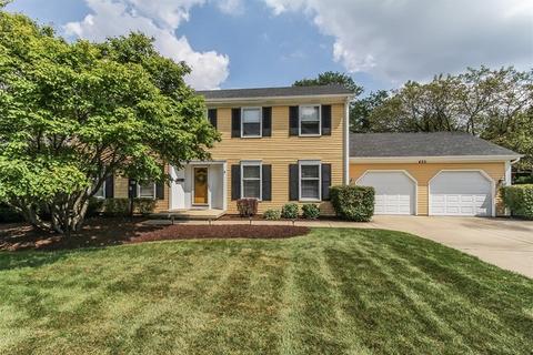 425 S Hickory Ave, Bartlett, IL 60103 photo 1