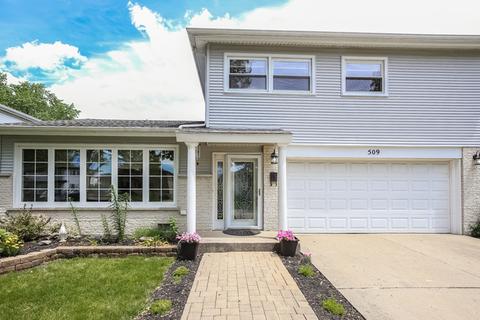 509 N 7th Ave, Des Plaines, IL 60016 photo 36