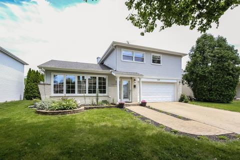 509 N 7th Ave, Des Plaines, IL 60016 photo 35