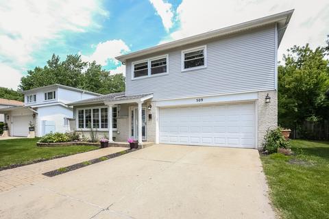 509 N 7th Ave, Des Plaines, IL 60016 photo 37