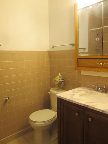 29 W 30th Pl, Steger, IL 60475 photo 7