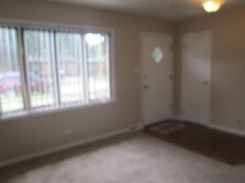 29 W 30th Pl, Steger, IL 60475 photo 4