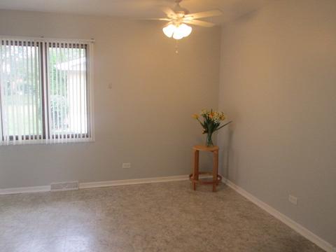 29 W 30th Pl, Steger, IL 60475 photo 3