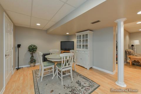 11411 Glenbrook Cir, Plainfield, IL 60585 photo 23