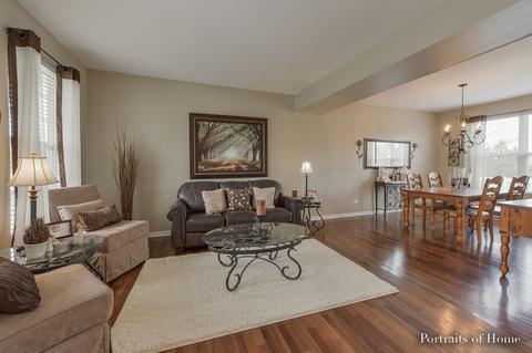 11411 Glenbrook Cir, Plainfield, IL 60585 photo 4