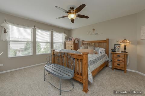 11411 Glenbrook Cir, Plainfield, IL 60585 photo 14
