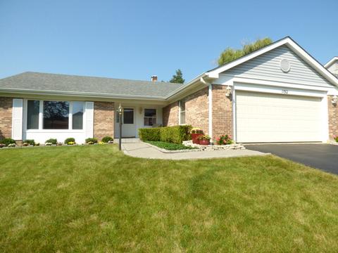 1192 Pointsetta Ln, Bartlett, IL 60103 photo 20