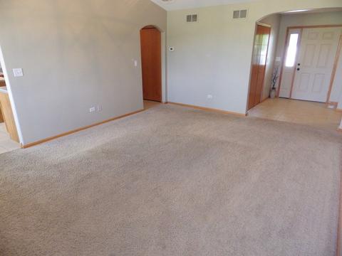 732 Blackhawk Dr, Braidwood, IL 60408 photo 8