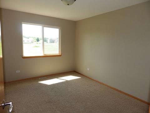 732 Blackhawk Dr, Braidwood, IL 60408 photo 17