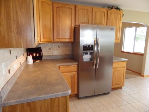 732 Blackhawk Dr, Braidwood, IL 60408 photo 14