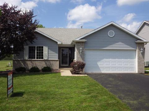 732 Blackhawk Dr, Braidwood, IL 60408 photo 1