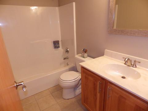 732 Blackhawk Dr, Braidwood, IL 60408 photo 16