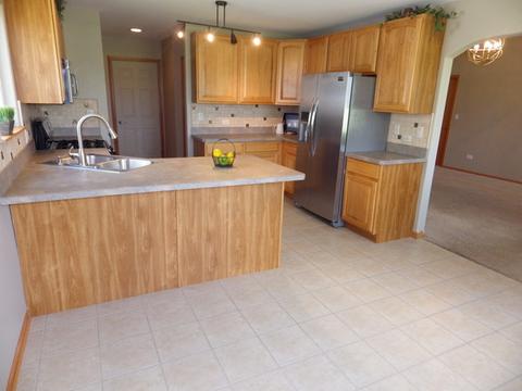 732 Blackhawk Dr, Braidwood, IL 60408 photo 11