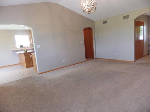 732 Blackhawk Dr, Braidwood, IL 60408 photo 9