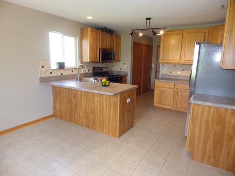 732 Blackhawk Dr, Braidwood, IL 60408 photo 10
