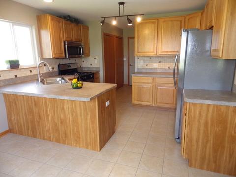 732 Blackhawk Dr, Braidwood, IL 60408 photo 12