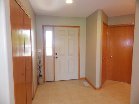 732 Blackhawk Dr, Braidwood, IL 60408 photo 5