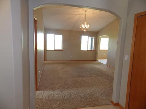 732 Blackhawk Dr, Braidwood, IL 60408 photo 6