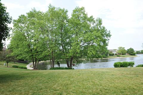 1364 Farmgate Rd, Bartlett, IL 60103 photo 4