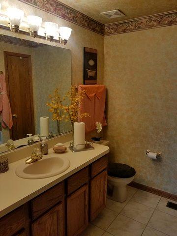 226 Lakeview Ct, Steger, IL 60475 photo 13