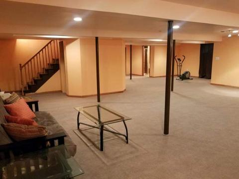 226 Lakeview Ct, Steger, IL 60475 photo 20