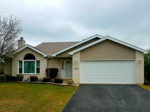 226 Lakeview Ct, Steger, IL 60475 photo 1