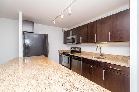 222 E Pearson St #209, Chicago, IL 60611 photo 6