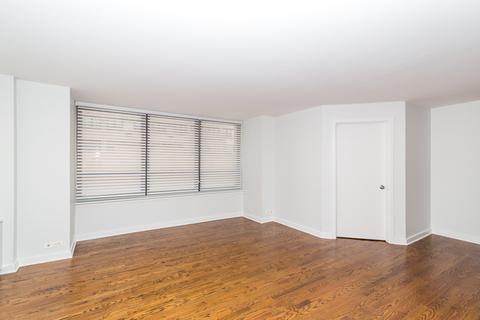 222 E Pearson St #209, Chicago, IL 60611 photo 11