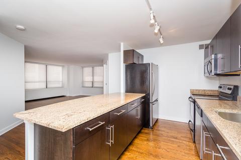 222 E Pearson St #209, Chicago, IL 60611 photo 5