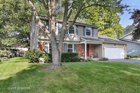 1753 Clyde Dr, Naperville, IL 60565 photo 26